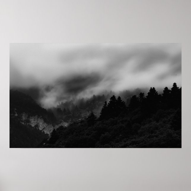 Poster Pose au-dessus de la forêt (Devant)