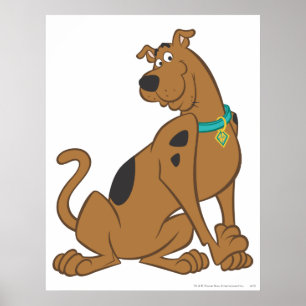 Poster Pose Scooby-Doo Bashful