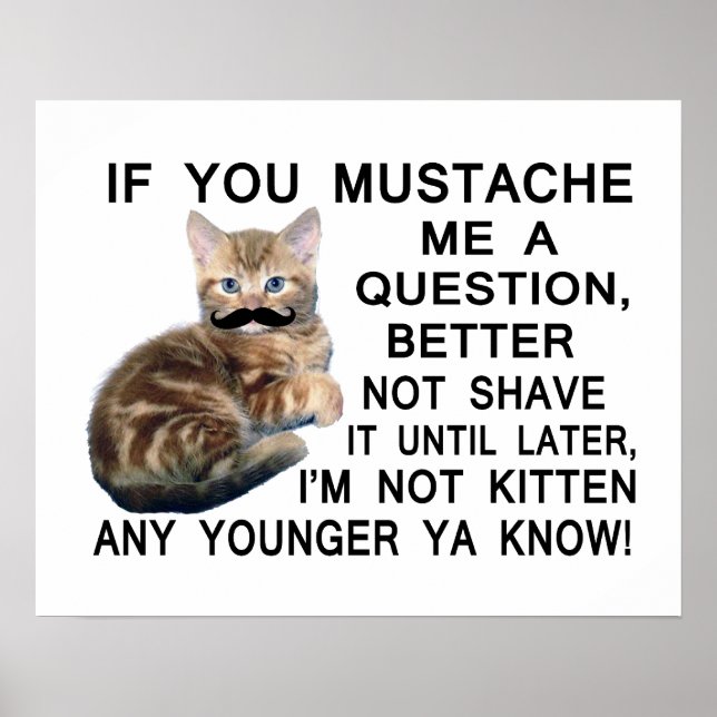 Poster Poser Une Question Au Kitten Avec Une Moustache (Devant)