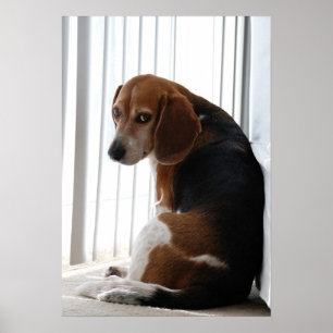 Poster Position