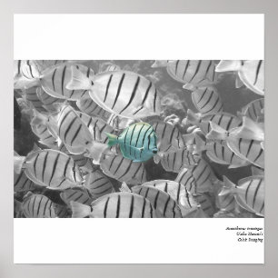 Poster Position de la foule