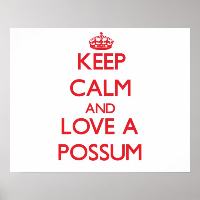 Poster Possum (Devant)