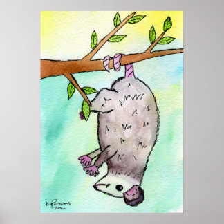 Poster Possum Danglin'