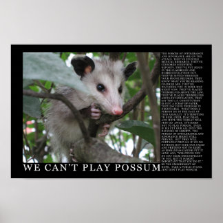 Poster Possum impossible à jouer