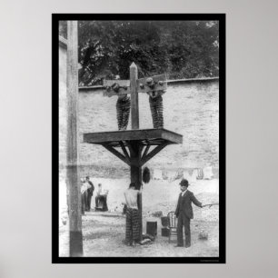 Poster Poste d'expédition au Delaware 1907