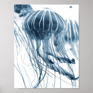 POSTER POSTE PHOTOGRAPHIQUE DE LA JELLYFISH DE MER