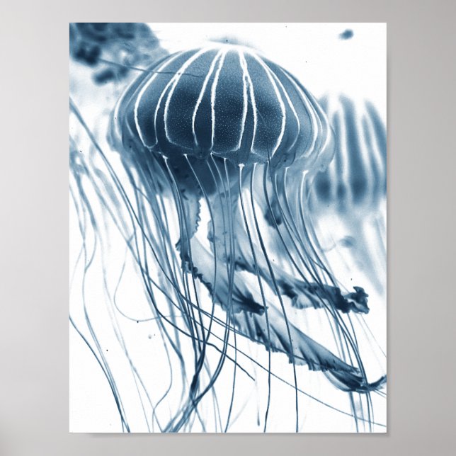 POSTER POSTE PHOTOGRAPHIQUE DE LA JELLYFISH DE MER (Devant)