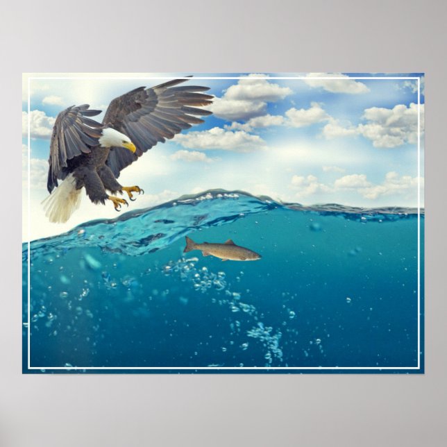 Poster Poster-Aigle (Devant)