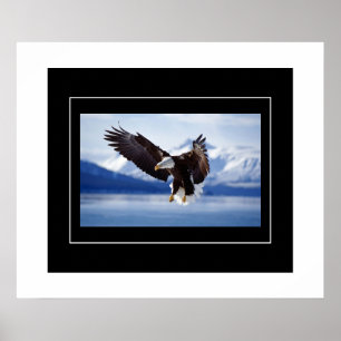 Poster Poster-Aigle