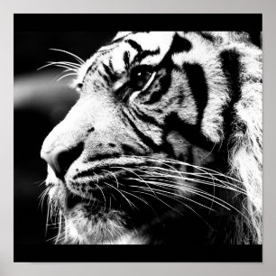 Poster Poster-Animaux-40