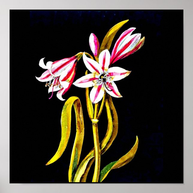 Poster Poster-Botanique Art-Mary Delany 3 (Devant)