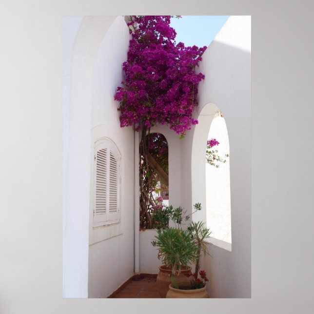 Poster Póster casa mediterránea (Devant)