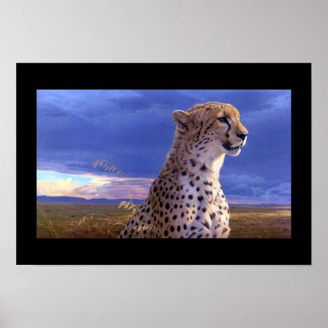 Poster Poster-Cheetah (Devant)