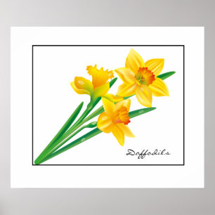 Poster Poster-Daffodiques