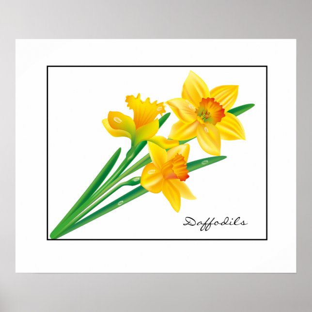 Poster Poster-Daffodiques (Devant)