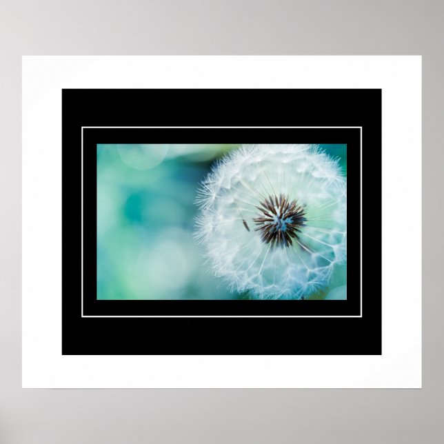 Poster Poster-Dandelion (Devant)