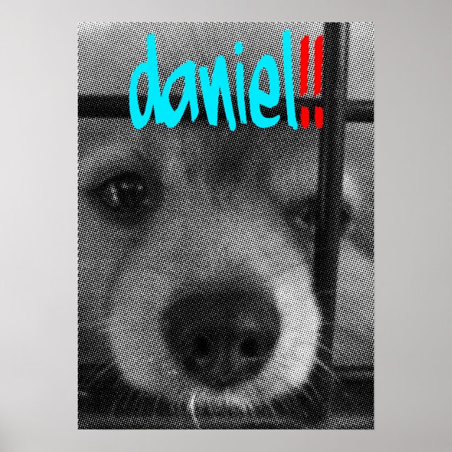 Poster poster_daniel ! ! (Devant)