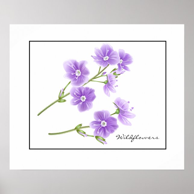 Poster Poster-Fleur sauvage violet (Devant)