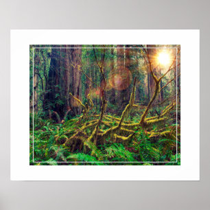 Poster Poster-Forest