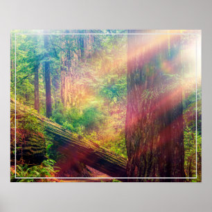 Poster Poster-Forest