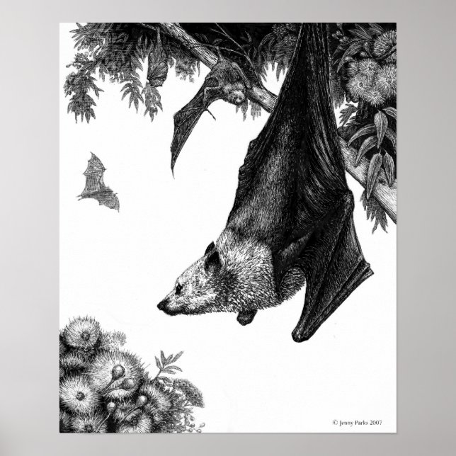 Poster Poster/Imprimé de renards volants (Devant)