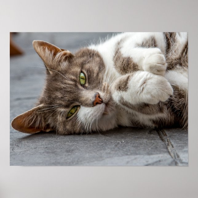 Poster Poster/Imprimer (Devant)