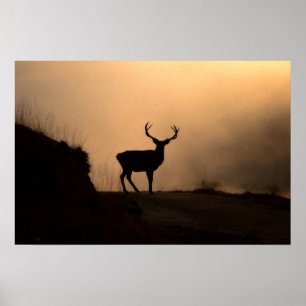 Poster Poster/Imprimer de l'affiche de Red Stag