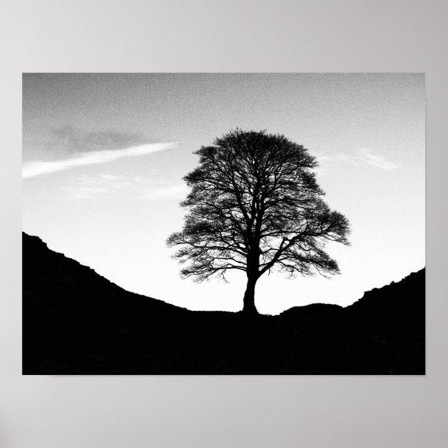 Poster Poster/imprimer Sycamore Gap (Devant)