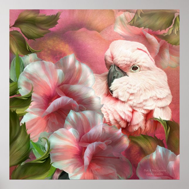 Poster Poster/Imprimer Un Boo Cockatoo (Devant)