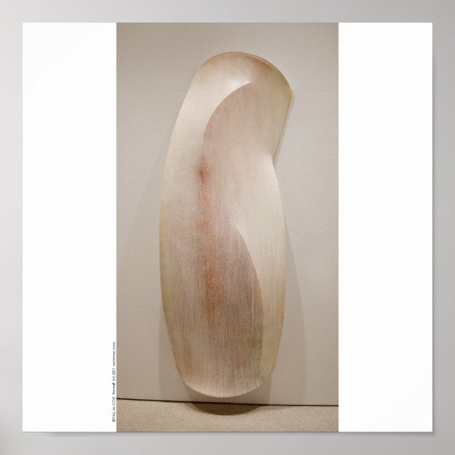 Poster Poster/Imprimer : "Undulate Column" (Devant)