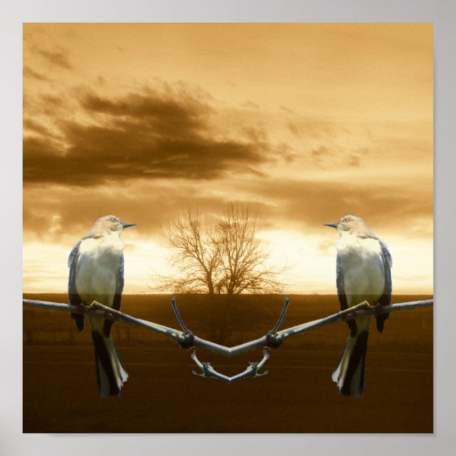 Poster Poster_Inséparables (Devant)