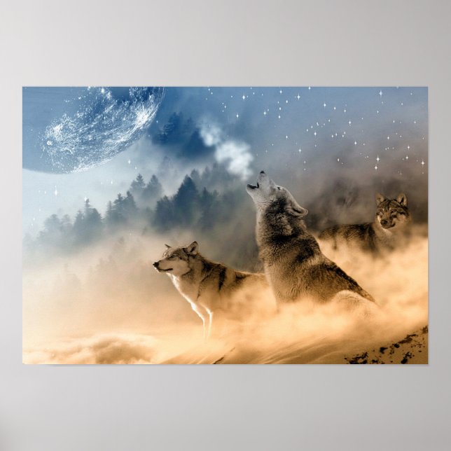 Poster Poster/Loups hurlant à la lune (Devant)