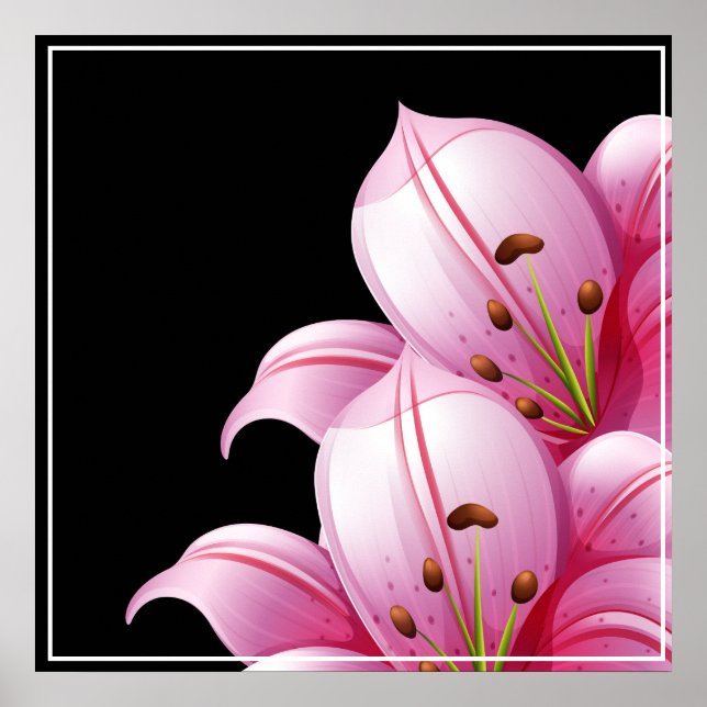 Poster Poster-Pink Lillie (Devant)