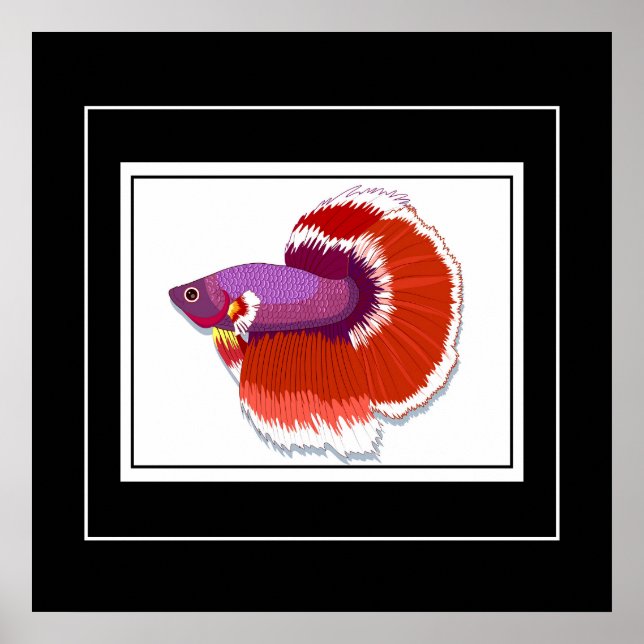 Poster Poster-Poster-Tropical (Devant)