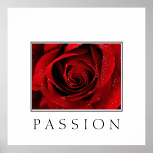 Poster Poster-Rouge Rose-Passion