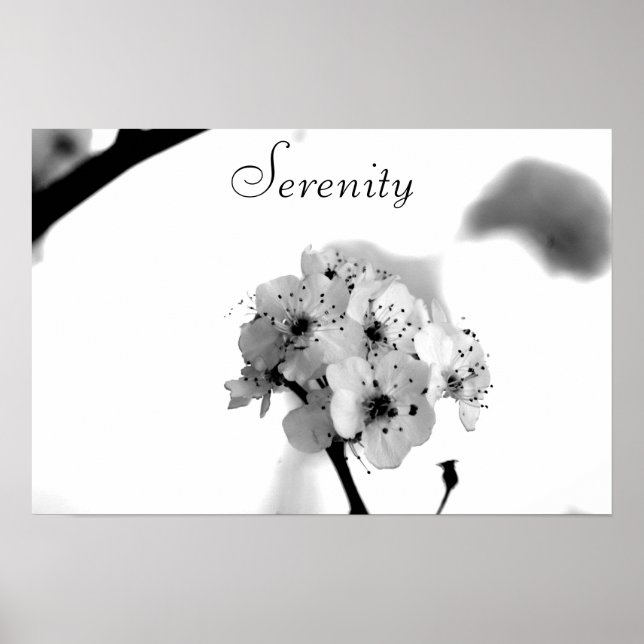 Poster Poster-Serenity (Devant)
