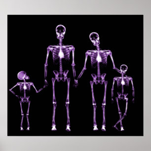 POSTER POSTER- X RAY SKELETON FAMILLE BLACK PURPLE FAMILL