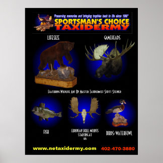 POSTER POSTRE TAXIDERMY CHOICE DU SPORTIF