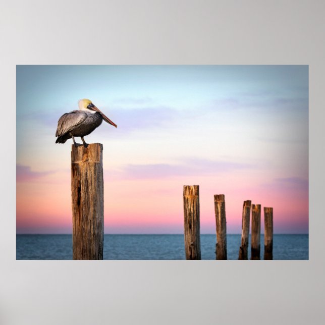 Poster Posts & a Pelican | Fort Myers Beach, Floride (Devant)