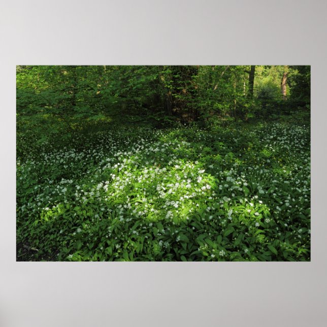 Poster Pot d'ail (Devant)