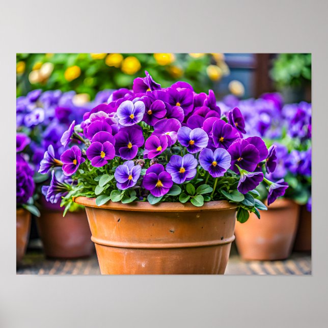 Poster Pot de fleurs violet charmant (Devant)