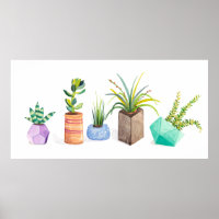 Pot de succulents