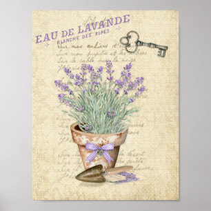 Poster Pot en terre cuite pour jardin Lavande Française