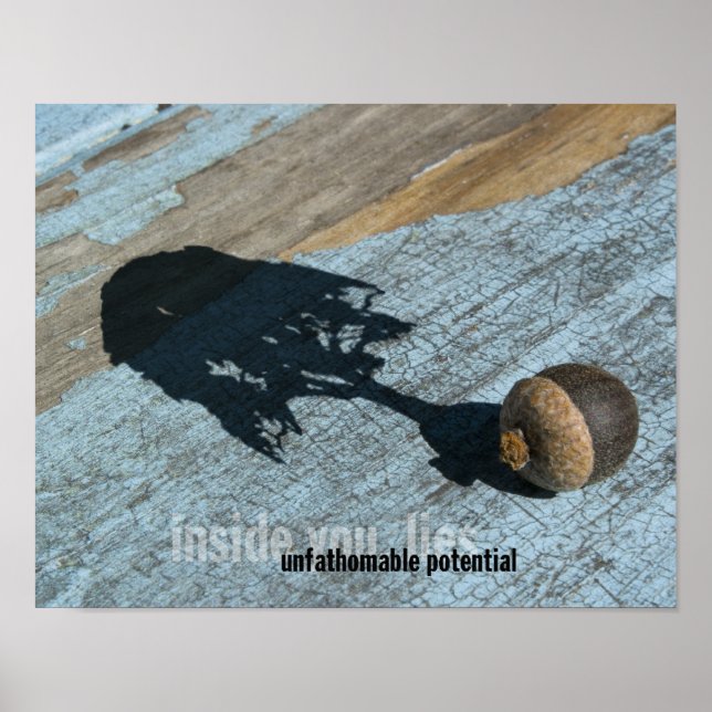 Poster potentiel (Devant)