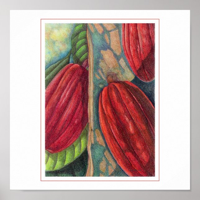 Poster Pots de cacao (Devant)