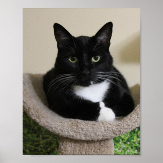 Poster Pouce vers le haut