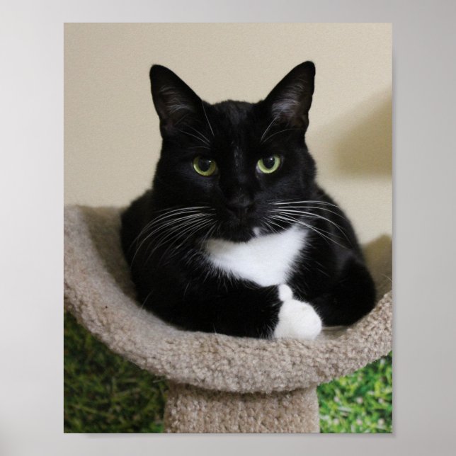 Poster Pouce vers le haut (Devant)