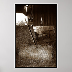 Poster Poule et fourche