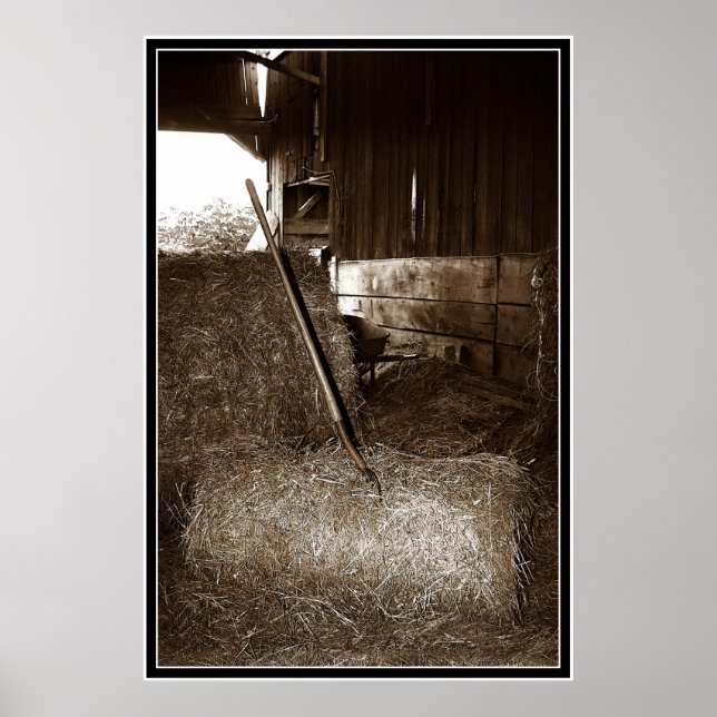 Poster Poule et fourche (Devant)