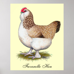 Poster Poule saumonée de Faverolle